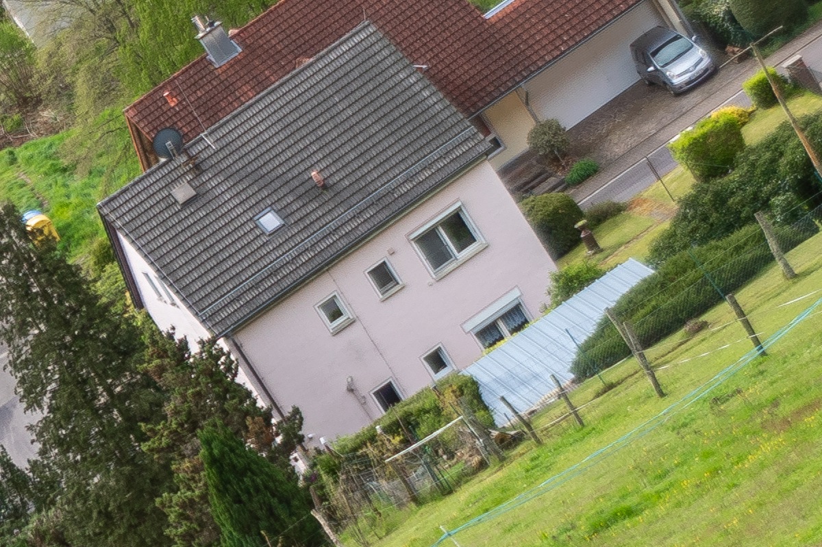 100%-Vergrößerung / 100%-Enlargement f2.5