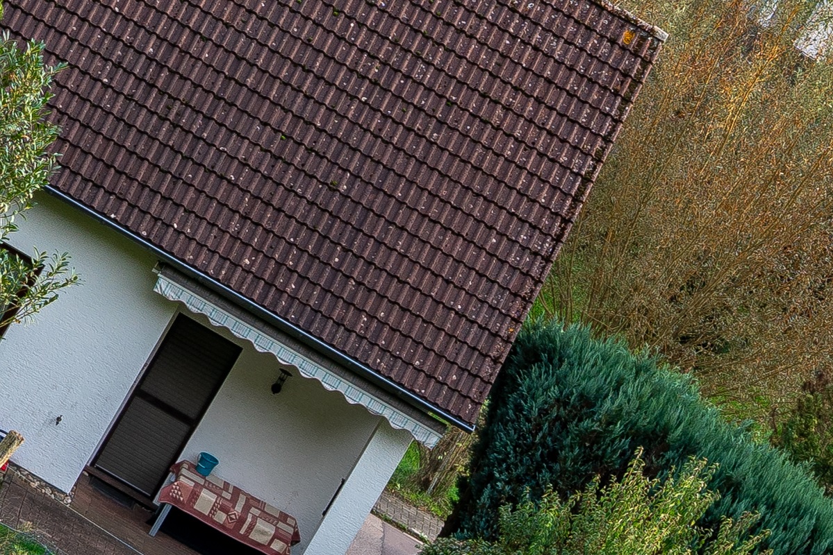 100%-Vergrößerung / 100%-Enlargement f8
