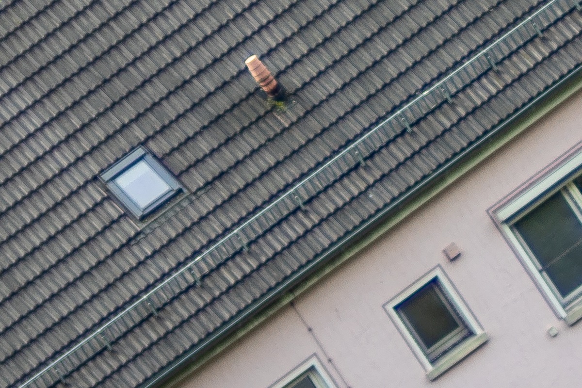 100%-Vergrößerung / 100%-Enlargement f2.5