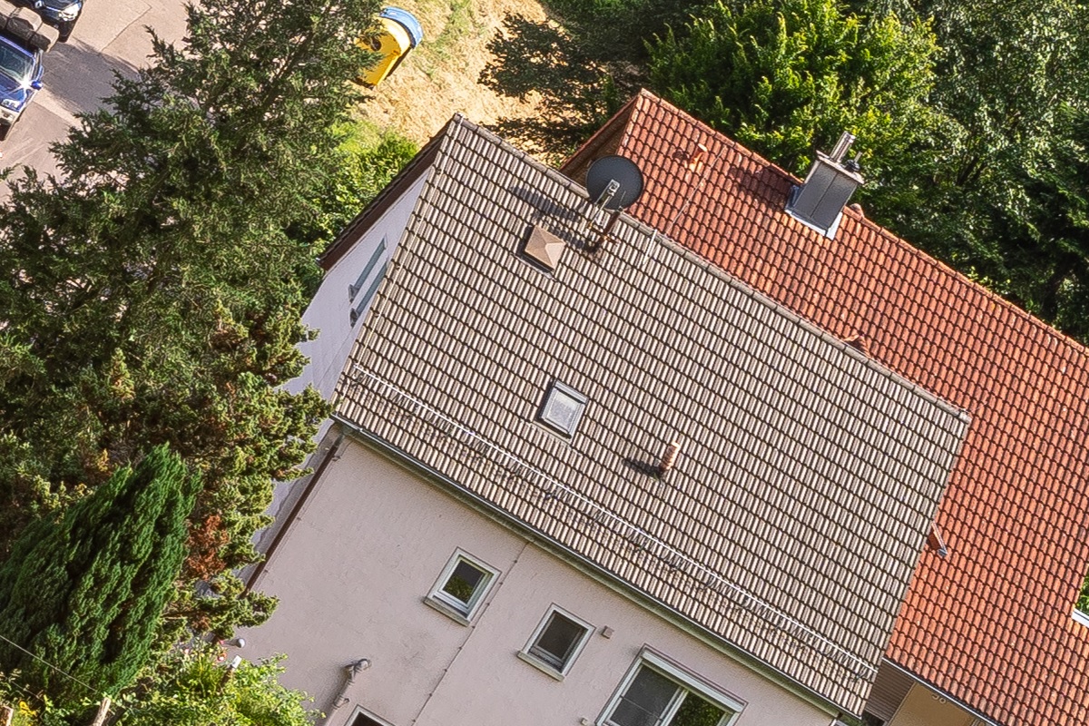 100%-Vergrößerung / 100%-Enlargement f11