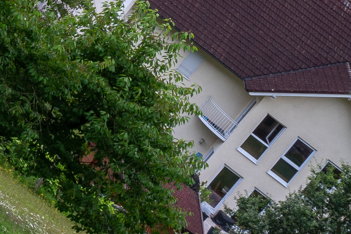100%-Vergrößerung / 100%-Enlargement f11