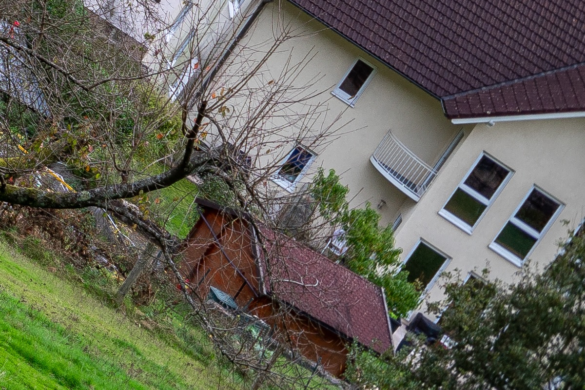 100%-Vergrößerung / 100%-Enlargement f8