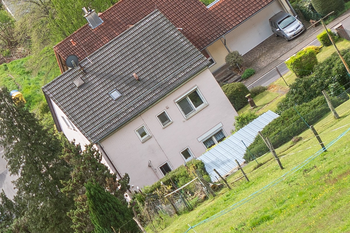 100%-Vergrößerung / 100%-Enlargement f5.6