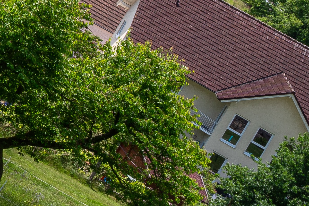100%-Vergrößerung / 100%-Enlargement f11