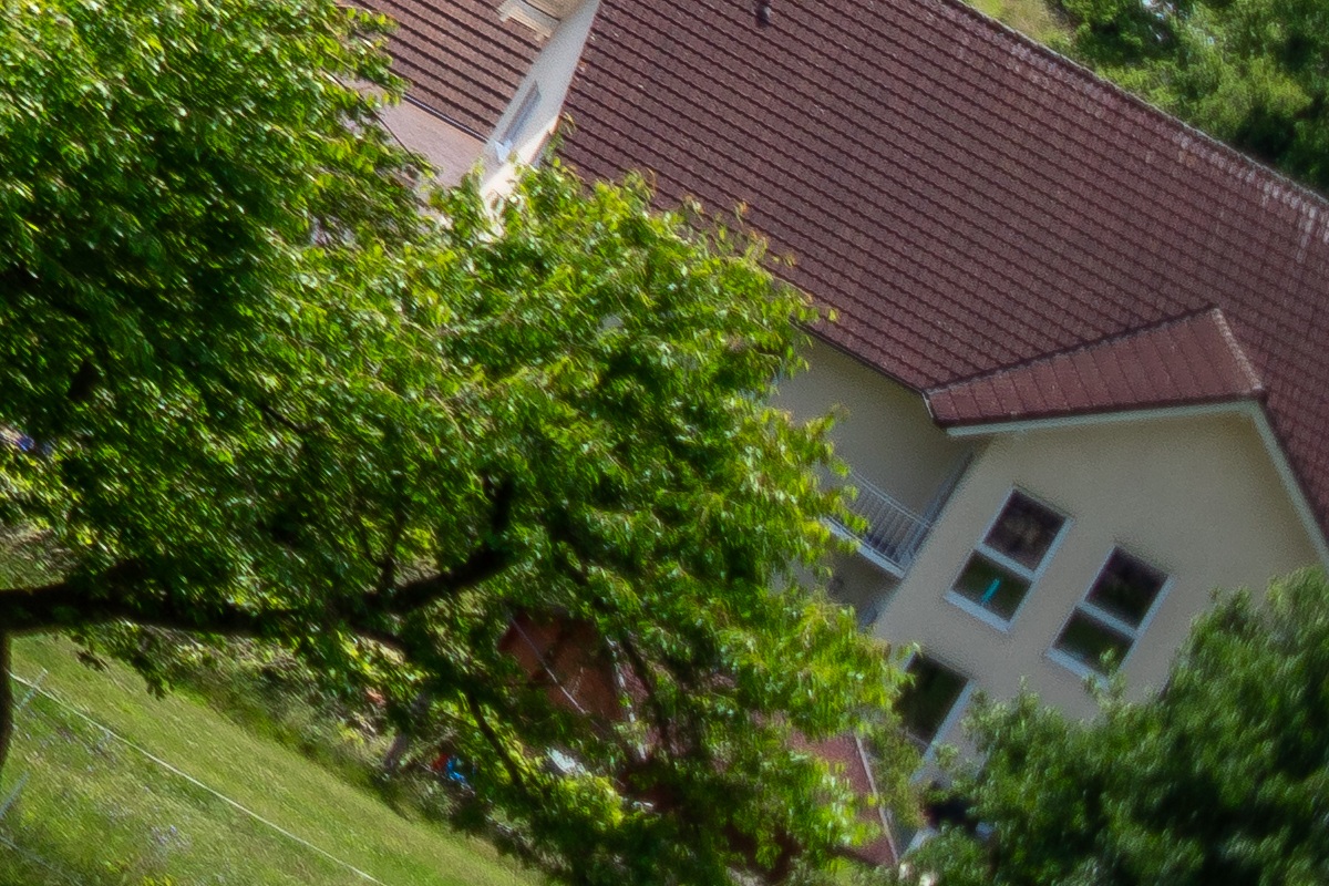 100%-Vergrößerung / 100%-Enlargement f4