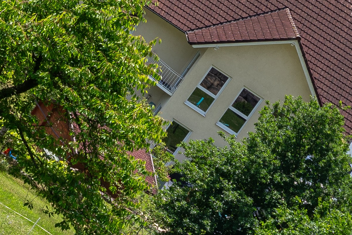 100%-Vergrößerung / 100%-Enlargement f11