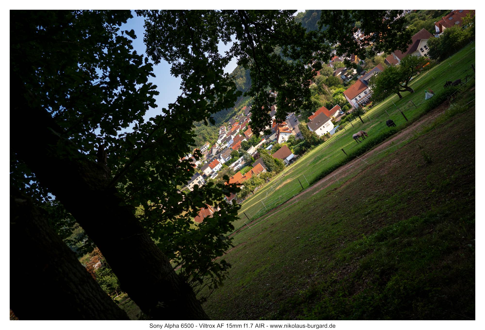 Gesamtbild / Full Picture f2