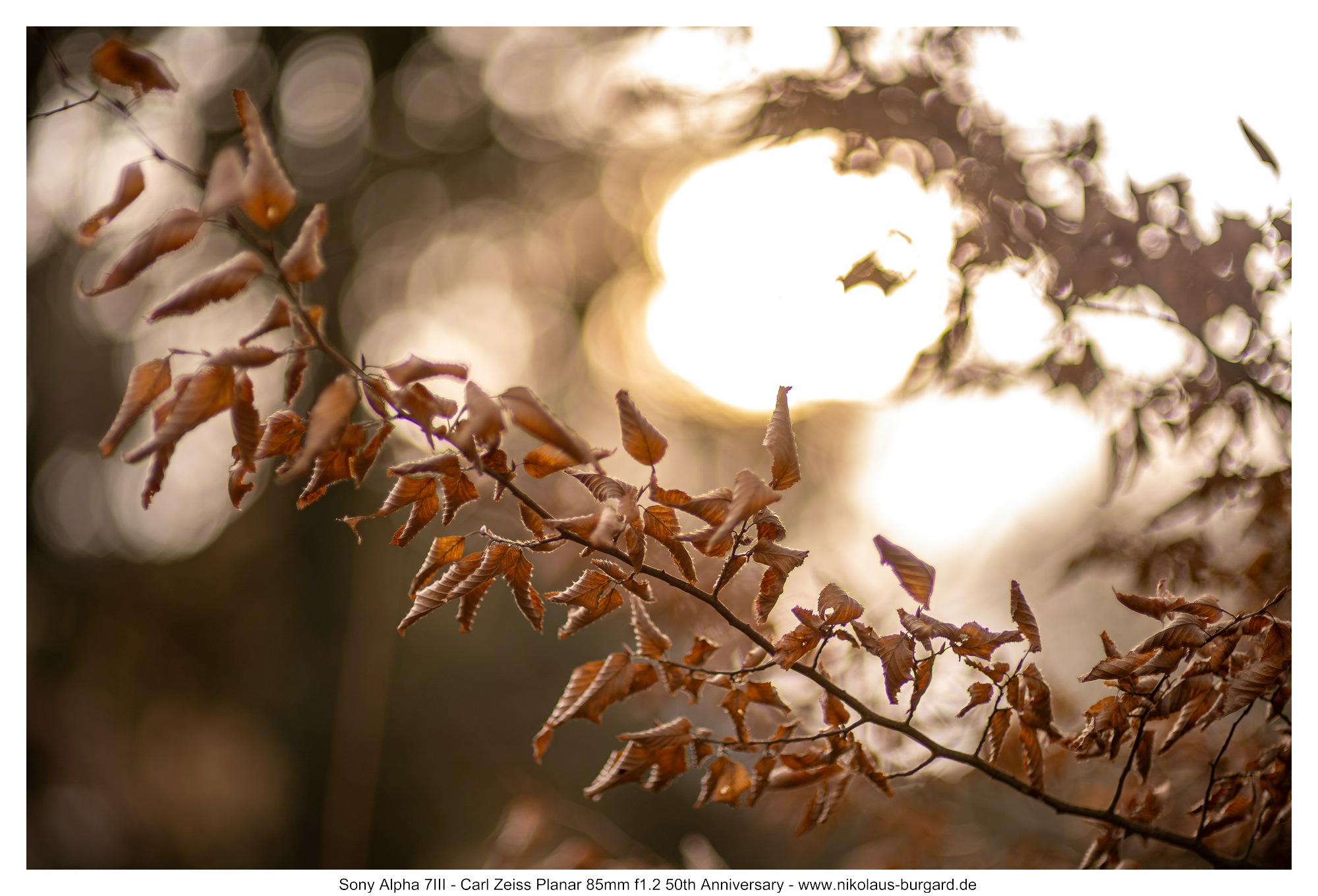 f1.2