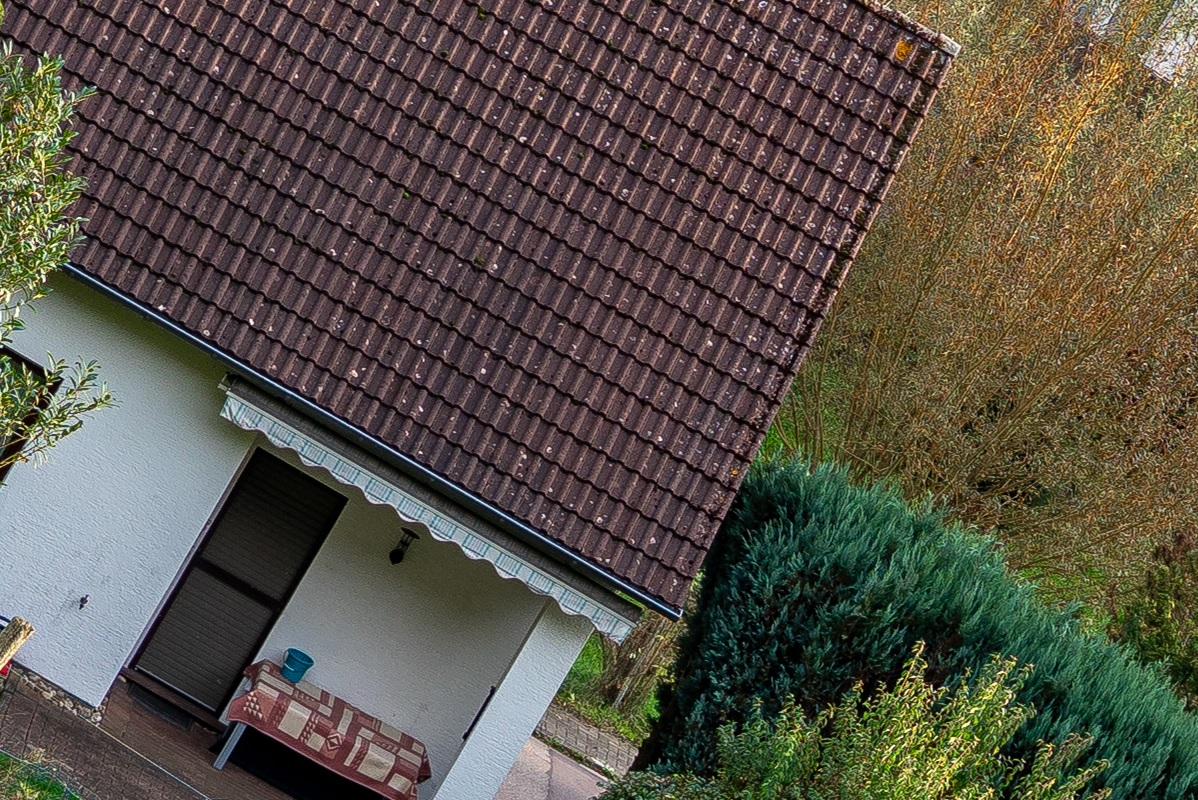 100%-Vergrößerung / 100%-Enlargement f4