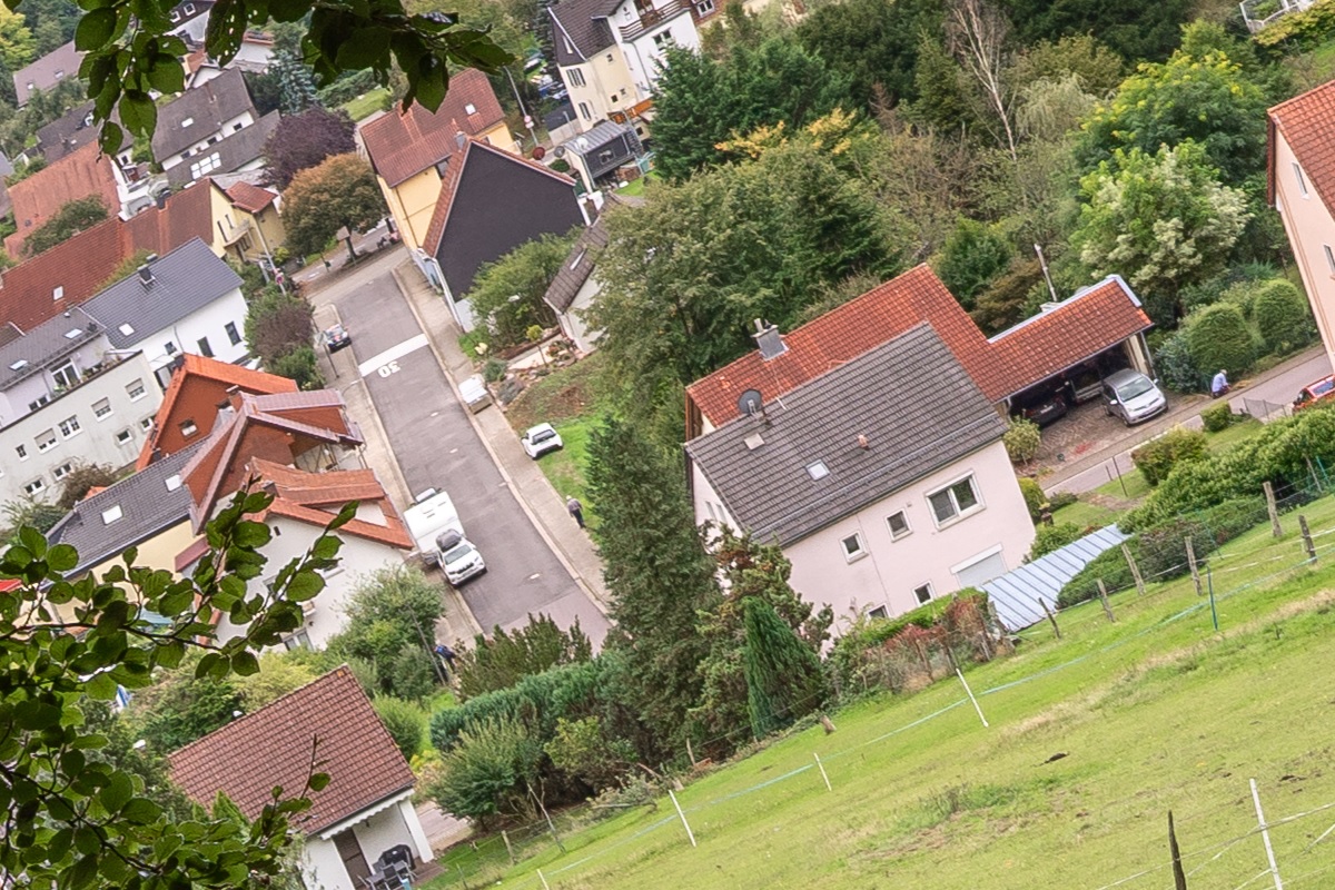 100%-Vergrößerung / 100%-Enlargement f5.6