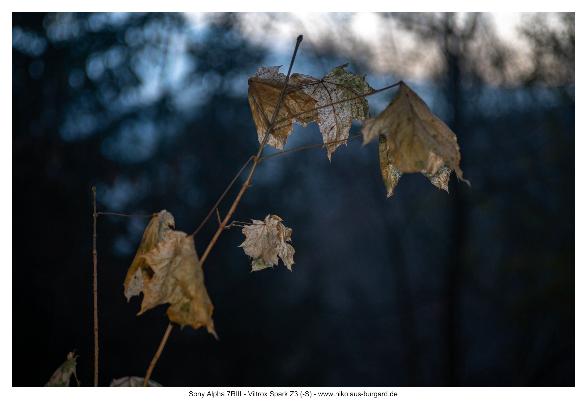 Blitz im M-Modus / Flash in M-Mode 1/16