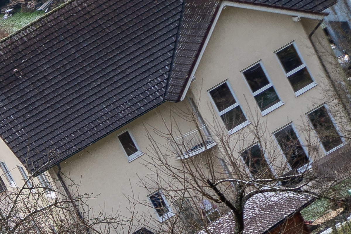 100%-Vergrößerung / 100%-Enlargement f4
