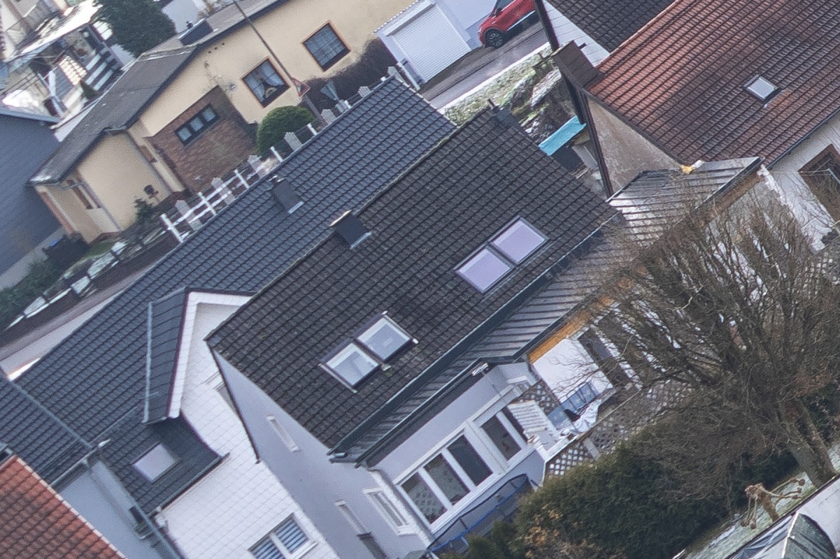 100%-Vergrößerung / 100%-Enlargement f8