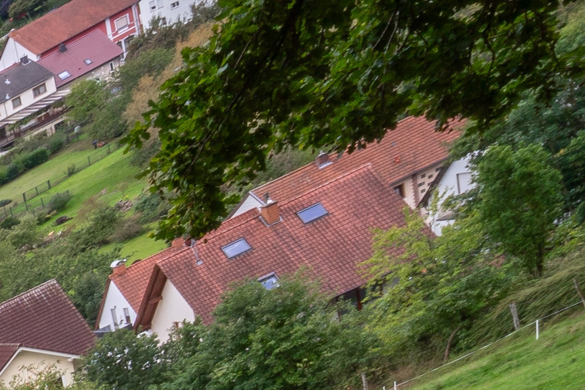 100%-Vergrößerung / 100%-Enlargement f11