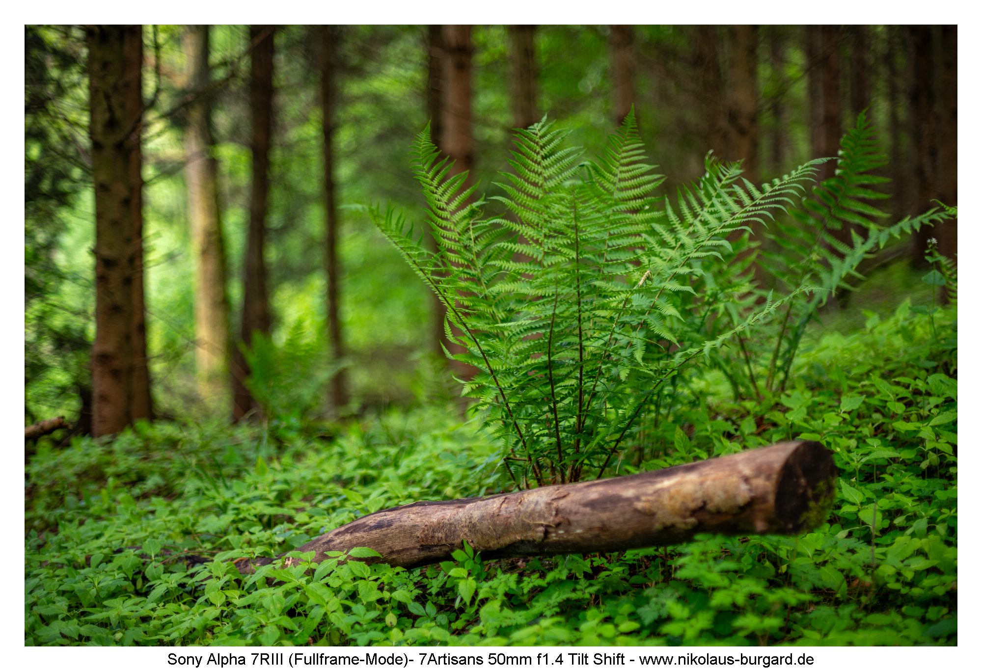 f1.4 ohne Tilt / no tilt