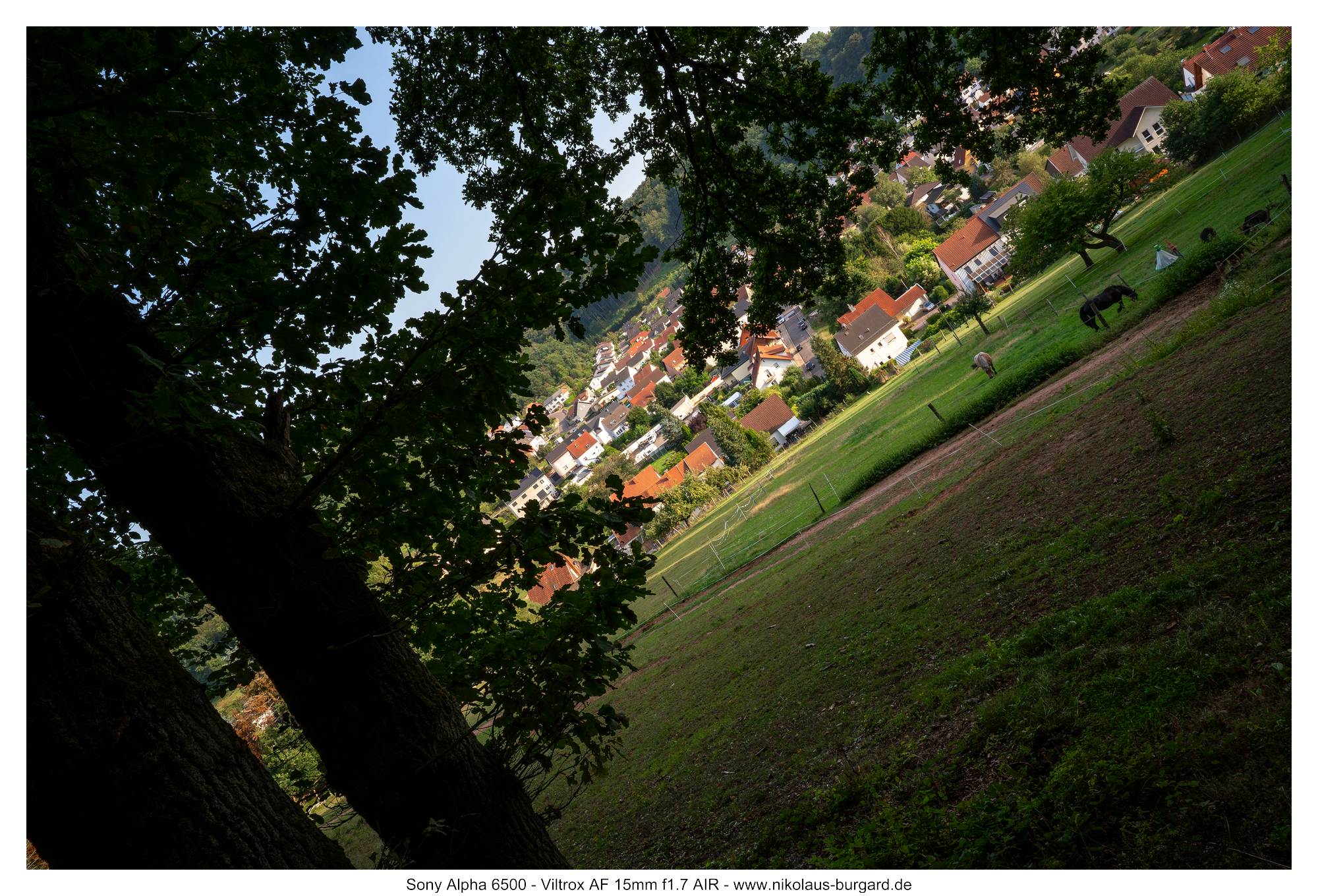 Gesamtbild / Full Picture f11
