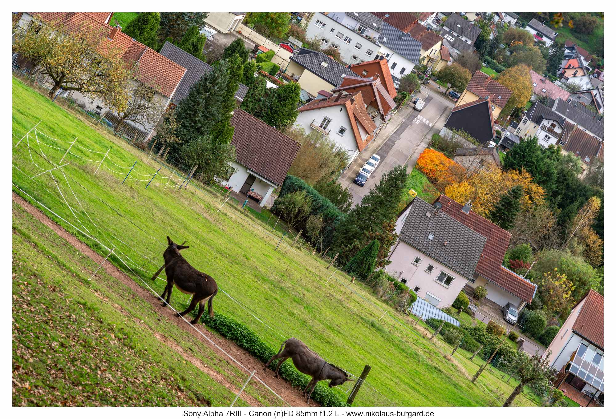 Gesamtbild / Full Picture f5.6