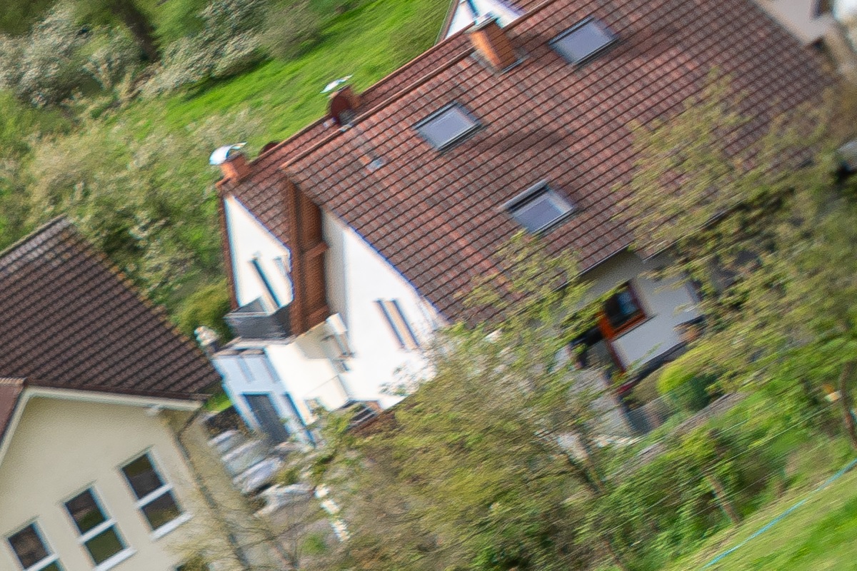 100%-Vergrößerung / 100%-Enlargement f8