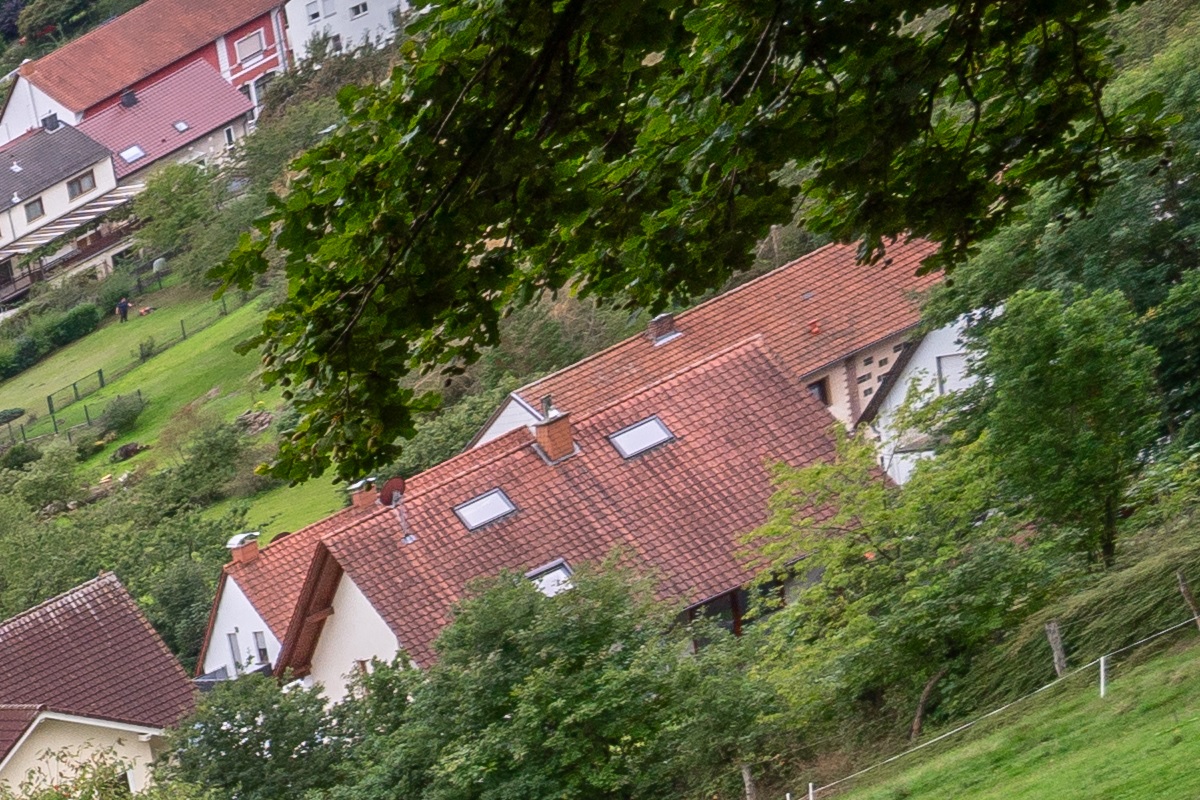 100%-Vergrößerung / 100%-Enlargement f5.6
