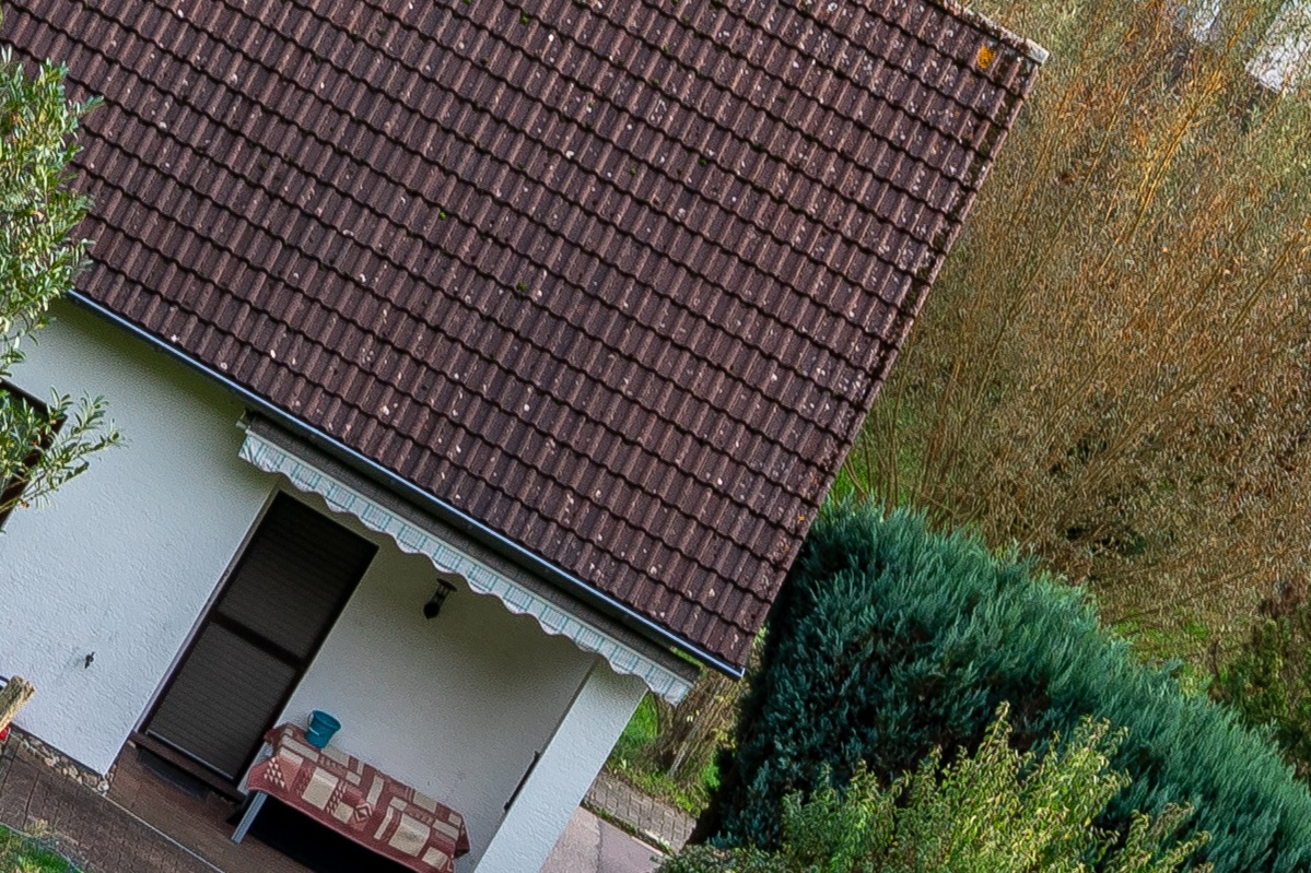 100%-Vergrößerung / 100%-Enlargement f11