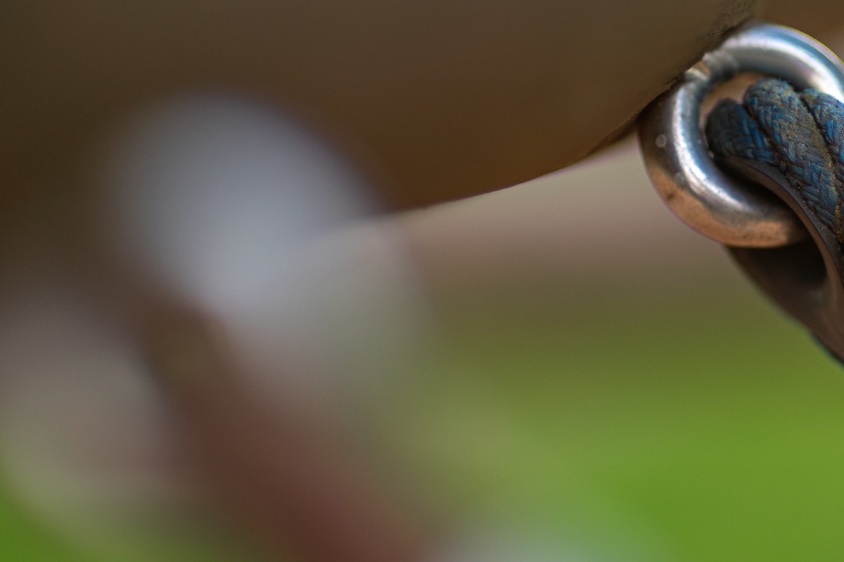 Vergrößerung vor der Schärfeebene / Enlargement in front of focus plane