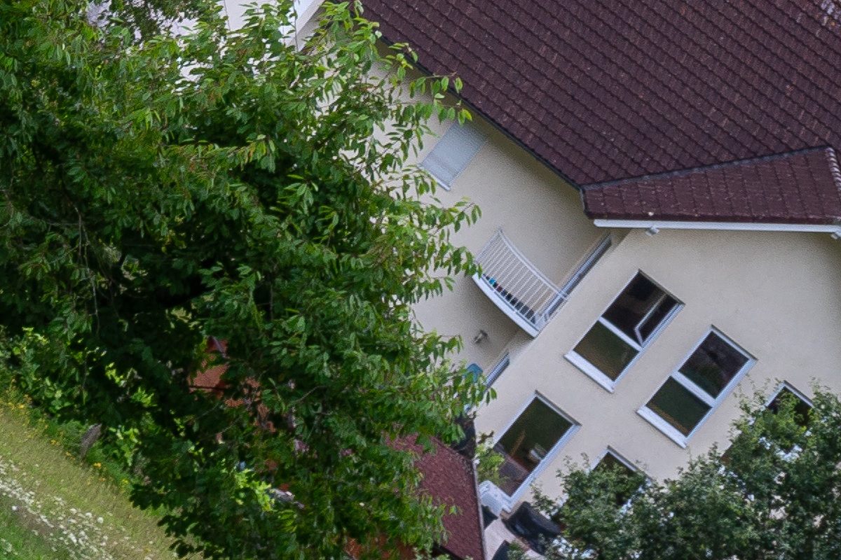 100%-Vergrößerung / 100%-Enlargement f8