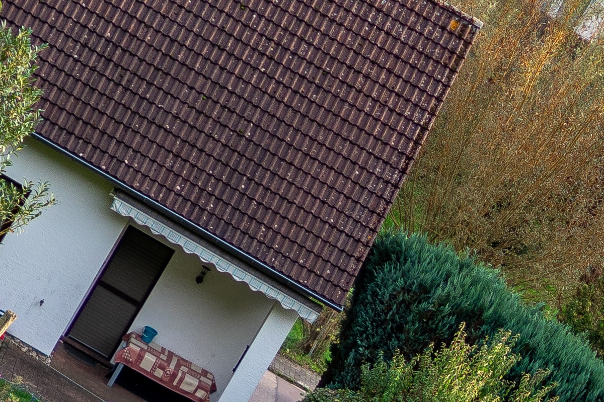 100%-Vergrößerung / 100%-Enlargement f2