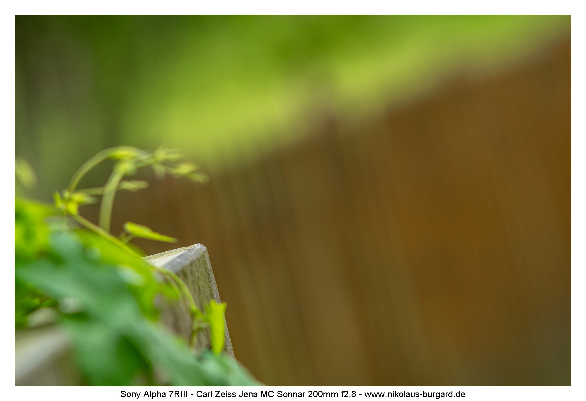 f5.6