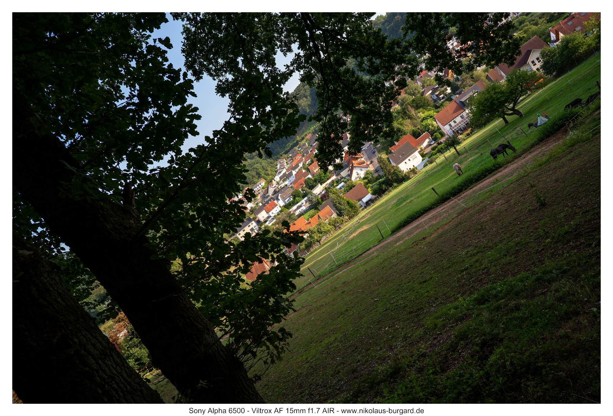 Gesamtbild / Full Picture f4