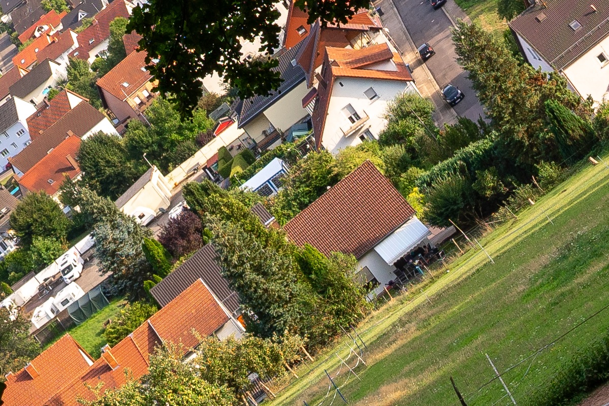 100%-Vergrößerung / 100%-Enlargement f5.6