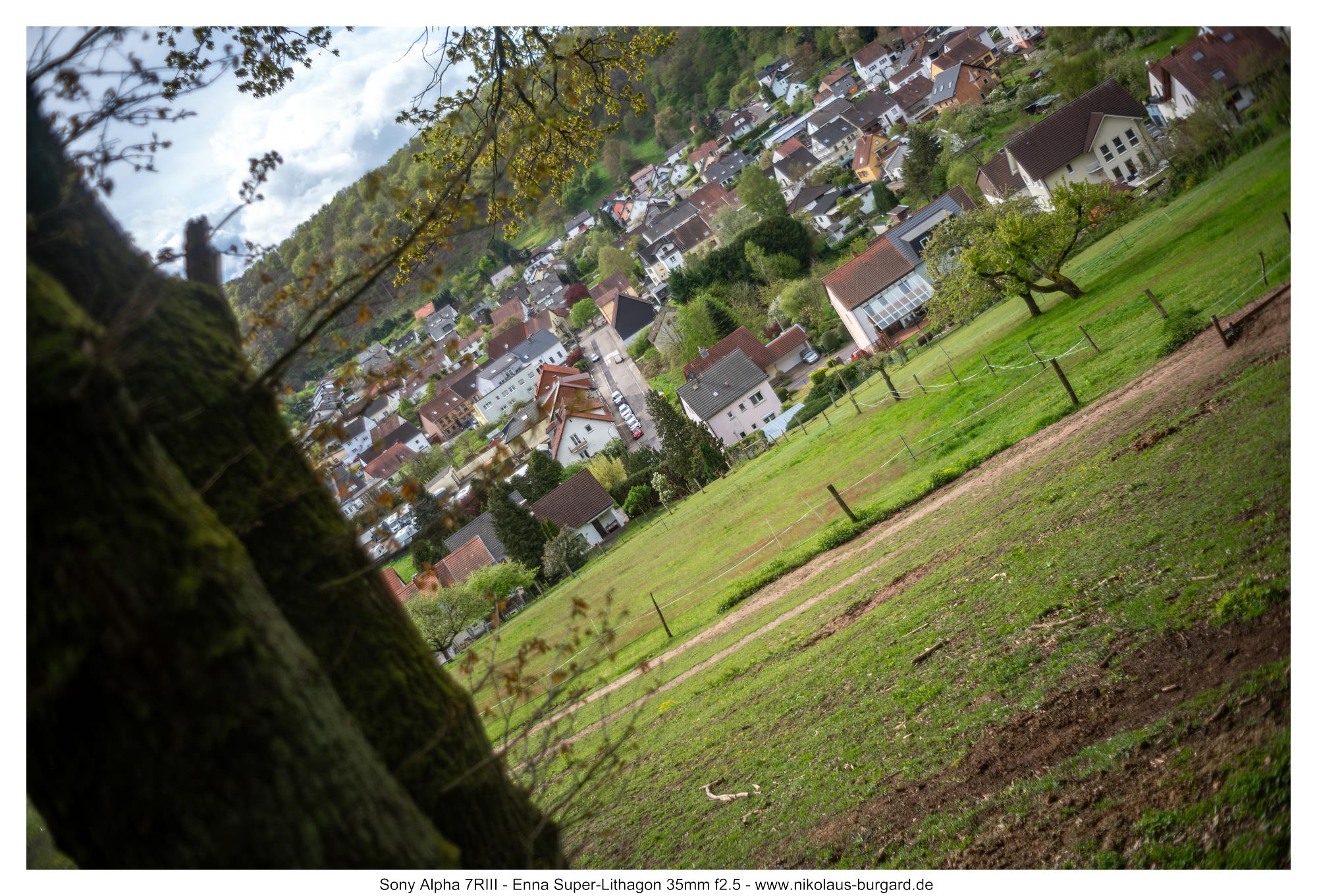 Gesamtbild / Full Picture f2.5