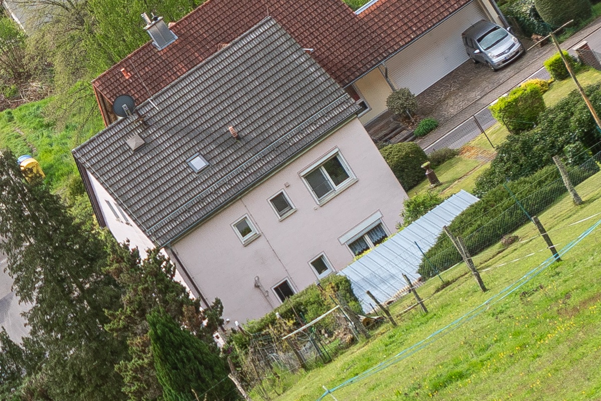 100%-Vergrößerung / 100%-Enlargement f4