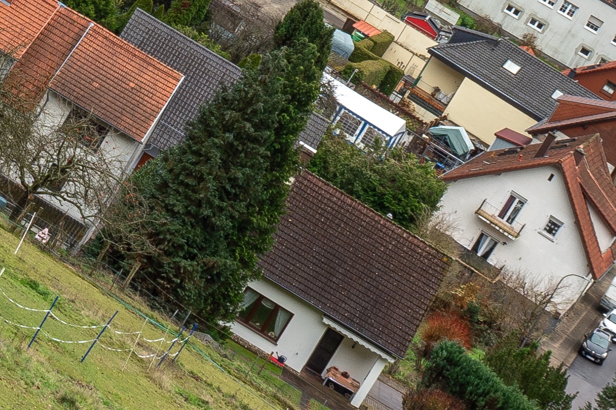 100%-Vergrößerung / 100%-Enlargement f11