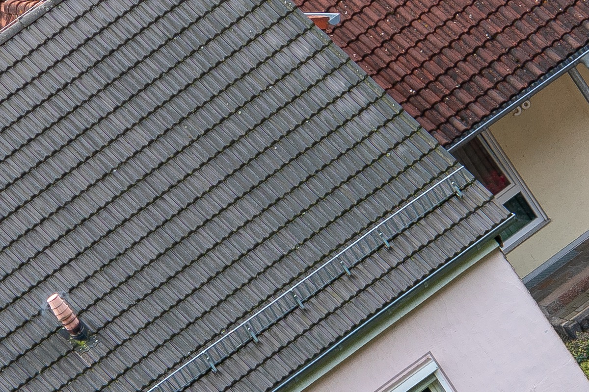 100%-Vergrößerung / 100%-Enlargement f8