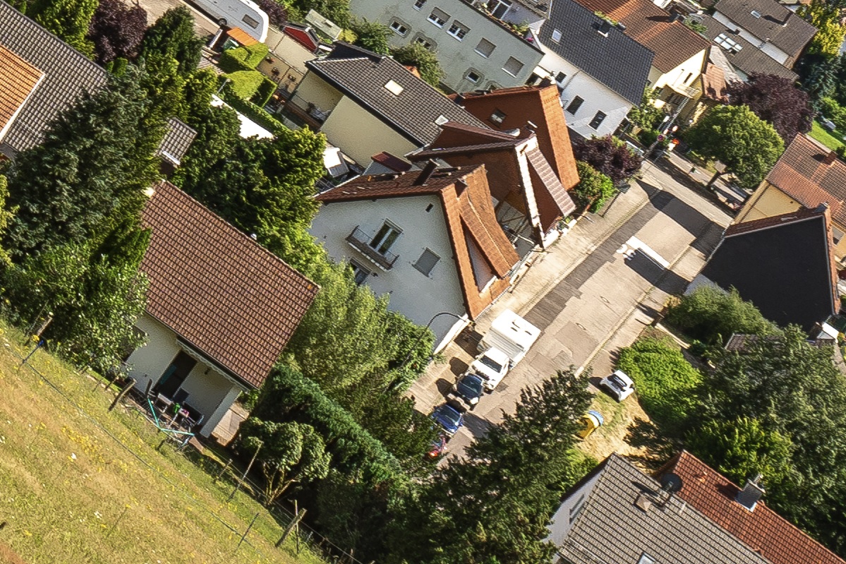 100%-Vergrößerung / 100%-Enlargement f11