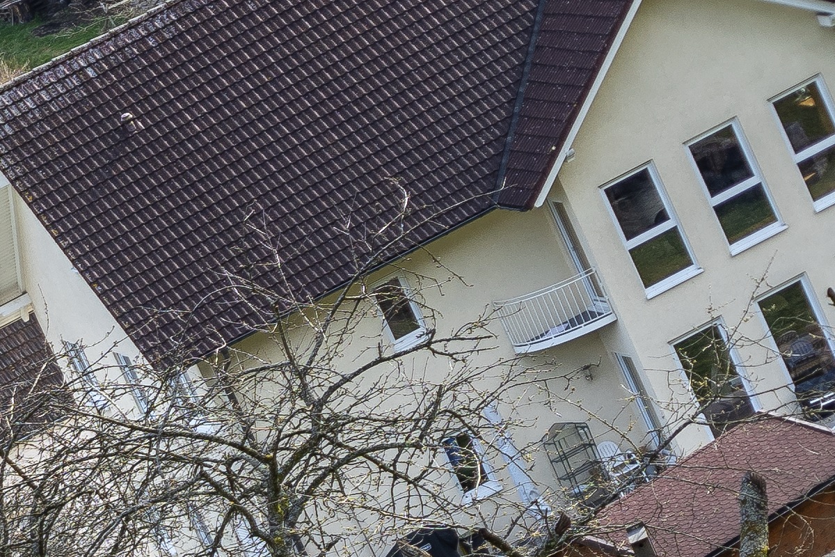 100%-Vergrößerung / 100%-Enlargement f5.6