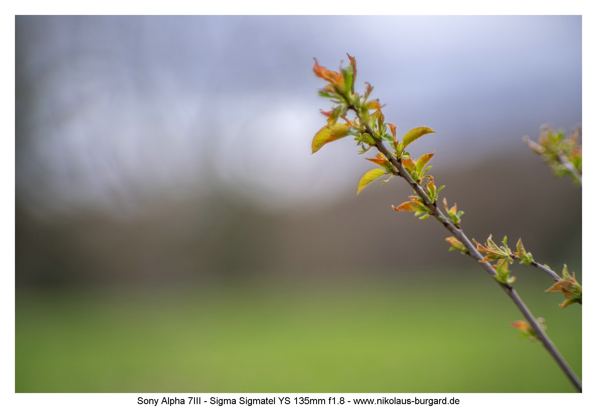 f1.8