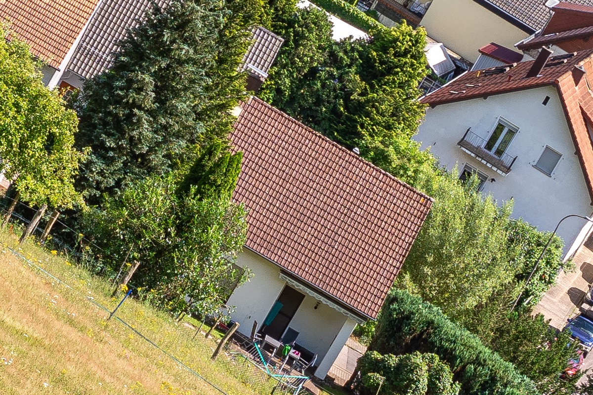 100%-Vergrößerung / 100%-Enlargement f8