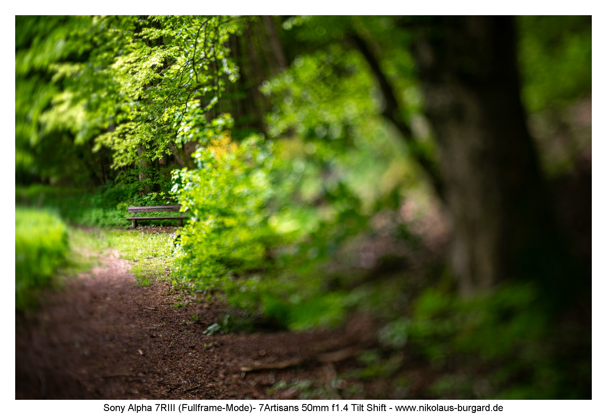 f1.4 Tilt nach rechts / tilt right
