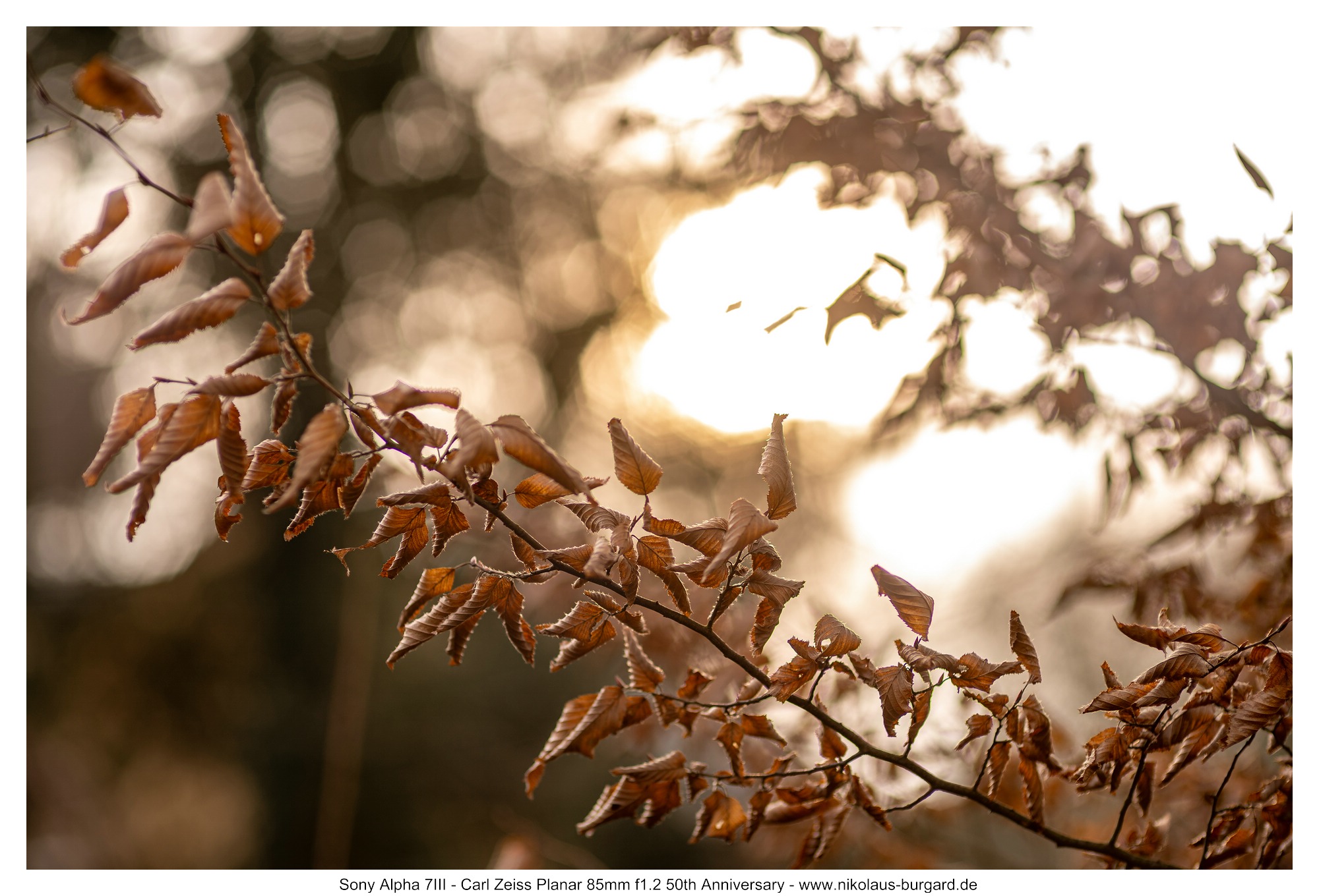 f2.8