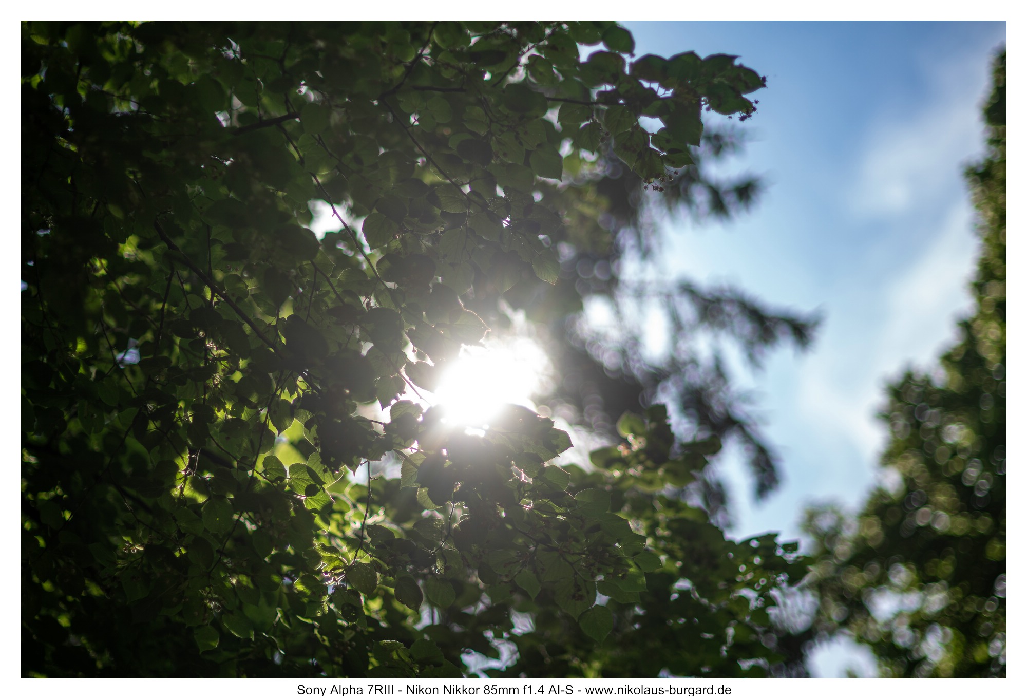 f1.4