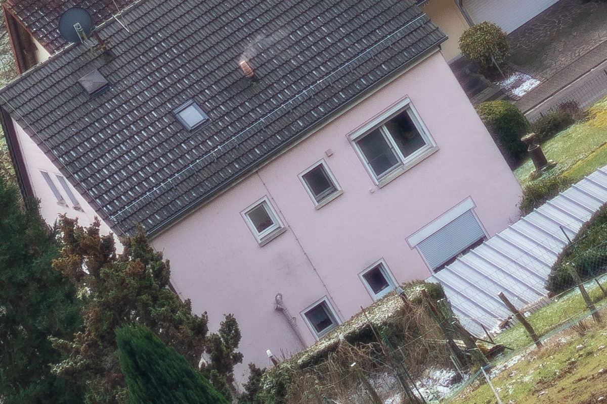 100%-Vergrößerung / 100%-Enlargement f1.9