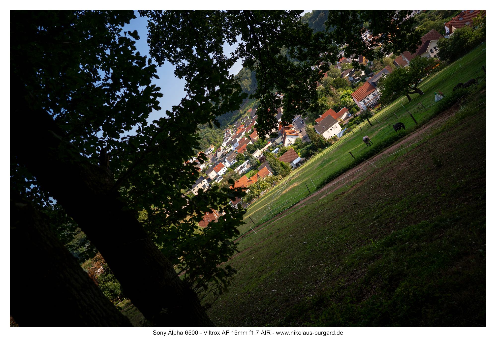 Gesamtbild / Full Picture f1.7