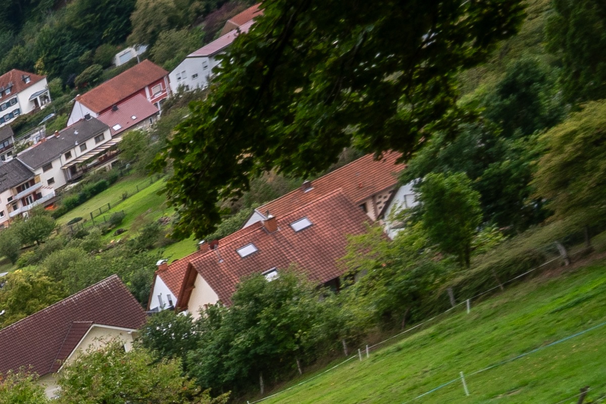 100%-Vergrößerung / 100%-Enlargement f8