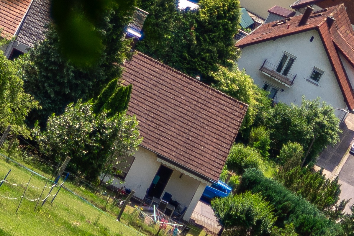 100%-Vergrößerung / 100%-Enlargement f2.4