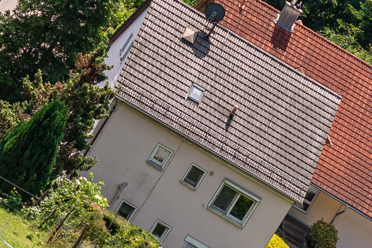 100%-Vergrößerung / 100%-Enlargement f2.8