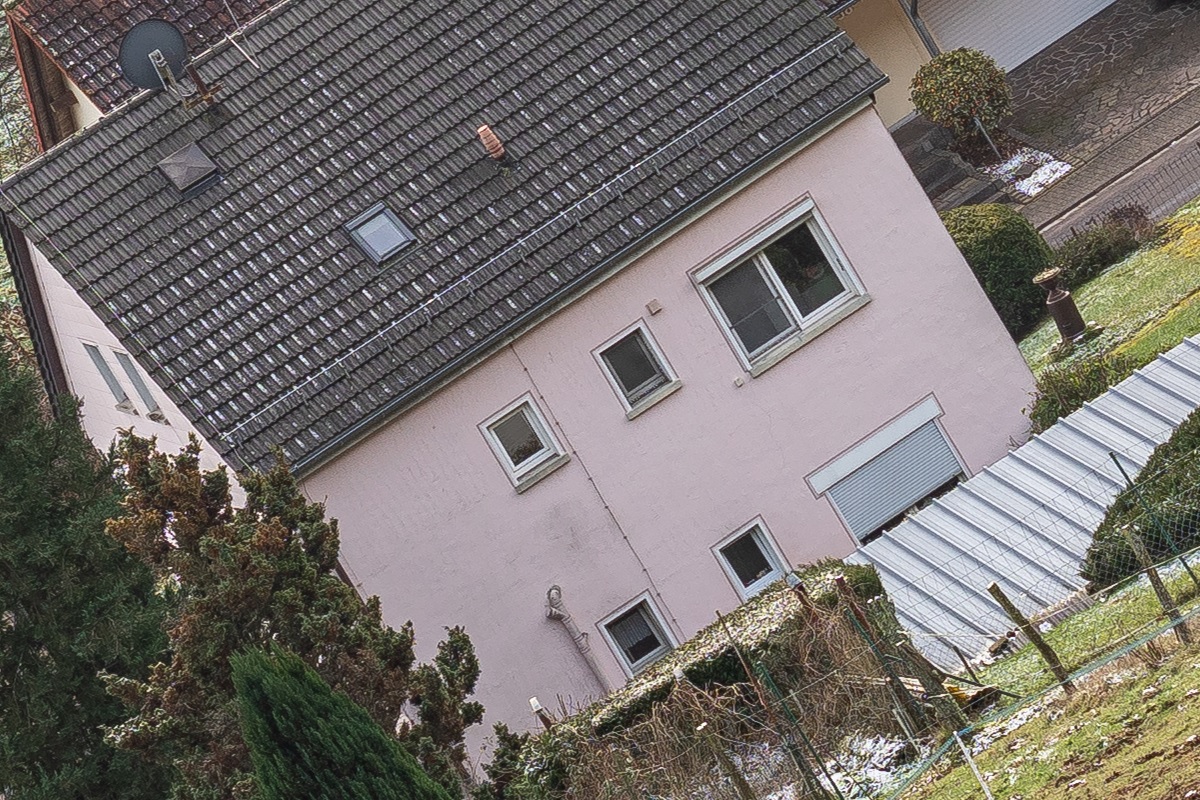100%-Vergrößerung / 100%-Enlargement f4