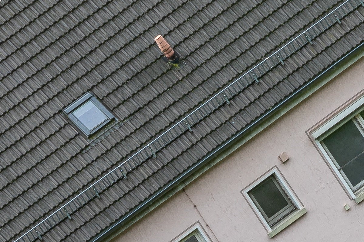 100%-Vergrößerung / 100%-Enlargement f11