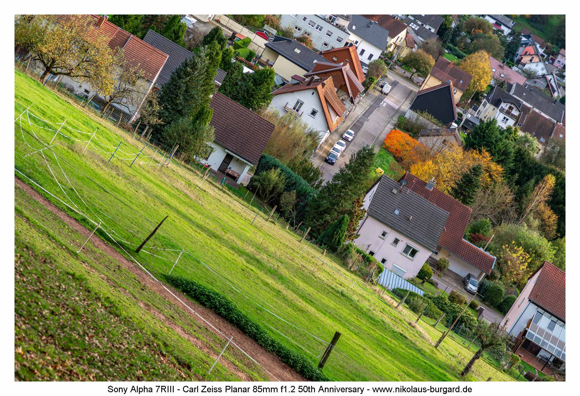 Gesamtbild / Full Picture f2.8