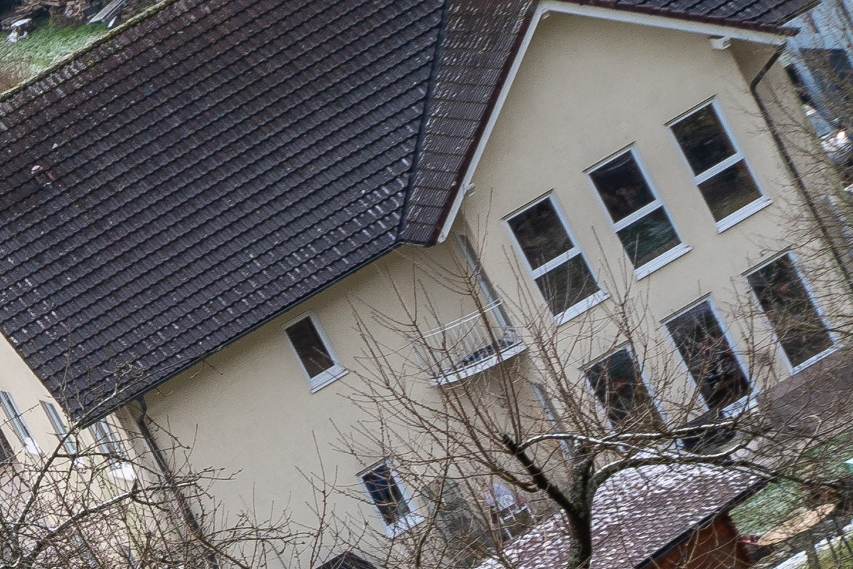 100%-Vergrößerung / 100%-Enlargement f11